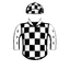 See Spot Run