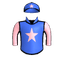 Dlightofdsun