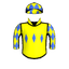 An Bhoireann