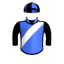 Flying Skipper