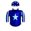 Swiss Army Officer