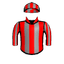 Gemini Star