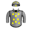Champion Warrior