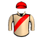 Bulletsnap