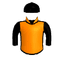 Race For Rule