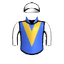 Barbarino