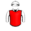 Vega Sicilia