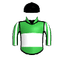 Kameel