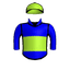 Tara Star
