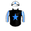 Rogue Soldier
