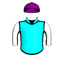 Magnetize