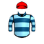 Cyber Ninja