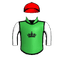 Ginster