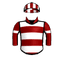 SLIGHT VARIATION
