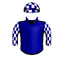 CRUSADING KNIGHT