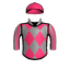 VEGA NOVA