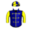 GOLD STAR HERO