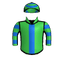 TIGER BEETLE