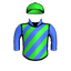 DIAMOND WARRIOR