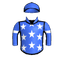 PRO VELOCITY