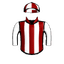 SWEET CICELY