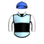 ROYAL SIZZLER