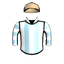 ZONNEVELD