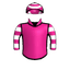 ZENDARINA