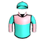 THE FURMANATOR