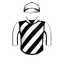 MR VERSE