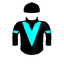 VICTORY COMMAND