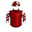 RUAKAKA RAIDER