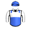LUCSAIN