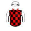 SPEEDY ONE