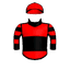 MAESTRO ITALIANO