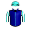 STEEL BLAZE