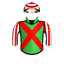 THE SPOTLIGHT KID