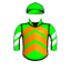 ROGUE RUNNER