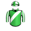 VICTRIX SWAN