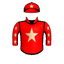 SOLDIER'S ECHO