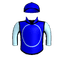 SADIE'S SILVER KID