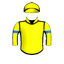 ELECTA