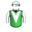 QUEEN'S GAMBLE
