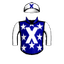 BLUE SPARX