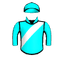 ELECTRIC EEL