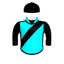 ARAMI'S SPEIGHSTER