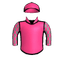 GANDERELLA