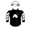 PYRALIS