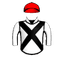 HANSTEEN