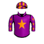 ZIVA'S STAR